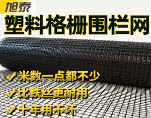 路基加固塑料网格