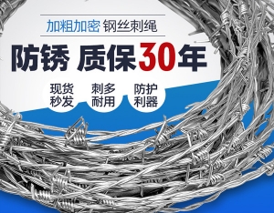 防攀爬铁蒺藜