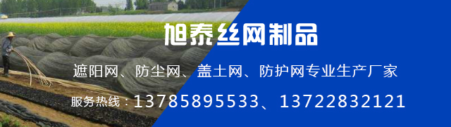 人工草坪,仿真草坪,盖土网,防尘网